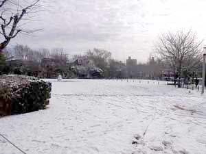 120124snow1.jpg