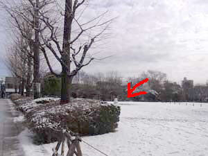 120124snow2.jpg