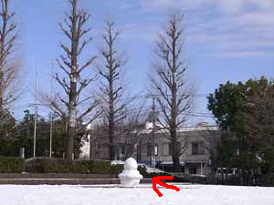 120124snow3.jpg