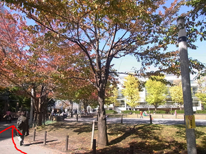 駅からの道のり１６.JPG