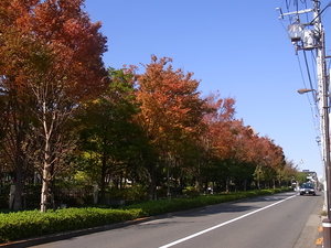 駅からの道のり１９.JPG