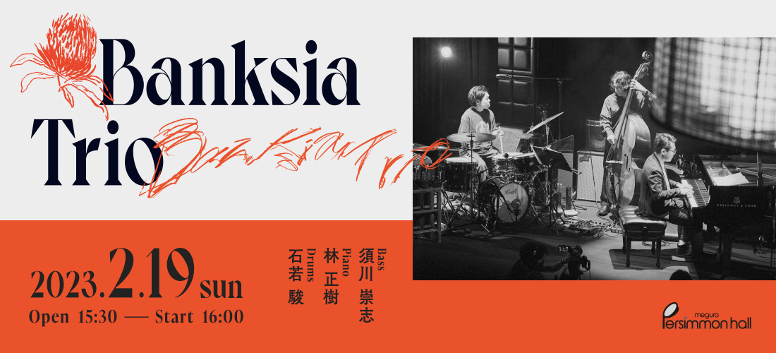 Banksia Trio